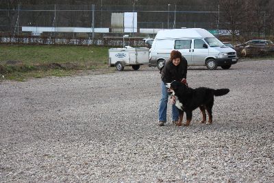 Herbstpruefung_2009