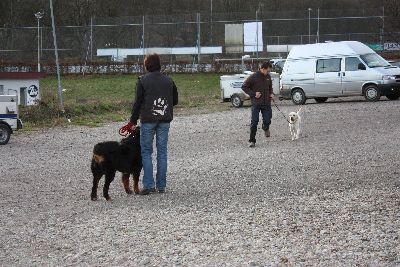 Herbstpruefung_2009