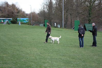 Herbstpruefung_2009
