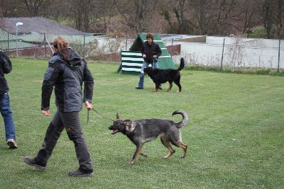 Herbstpruefung_2009