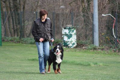 Herbstpruefung_2009