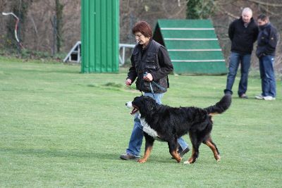 Herbstpruefung_2009