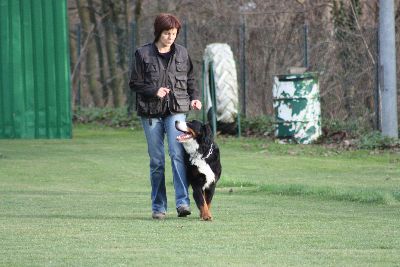 Herbstpruefung_2009