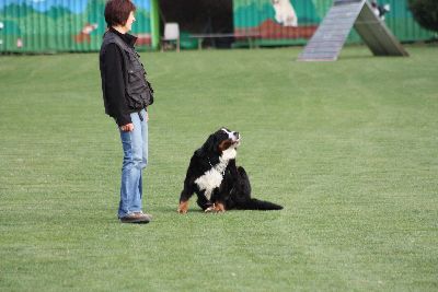 Herbstpruefung_2009