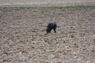 Herbstpruefung_2009