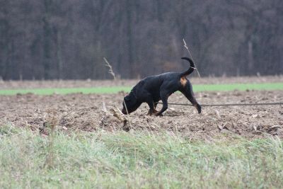 Herbstpruefung_2009