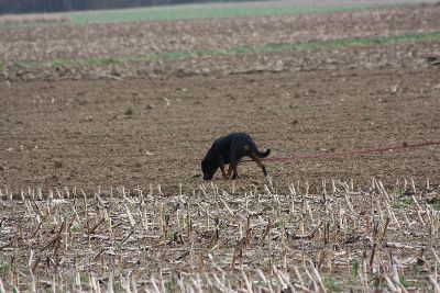 Herbstpruefung_2009