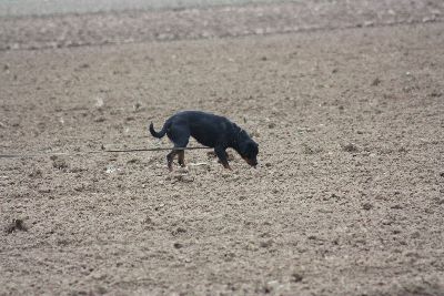 Herbstpruefung_2009