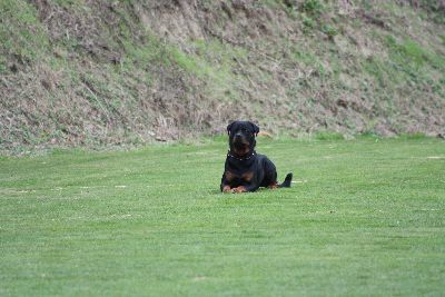 Herbstpruefung_2009