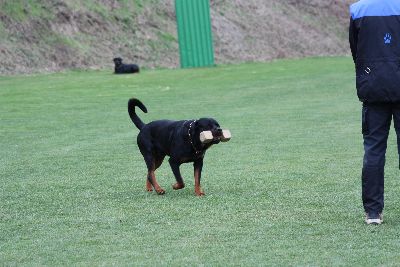 Herbstpruefung_2009
