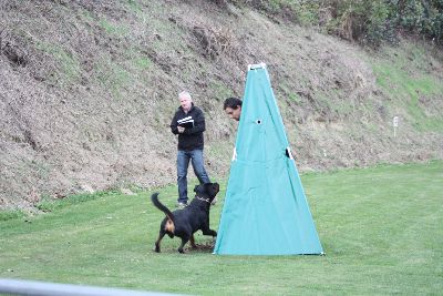 Herbstpruefung_2009