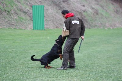 Herbstpruefung_2009