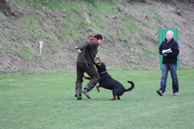 Herbstpruefung_2009