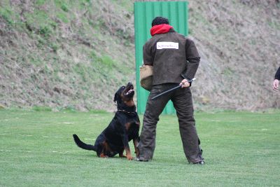 Herbstpruefung_2009