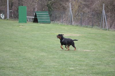 Herbstpruefung_2009