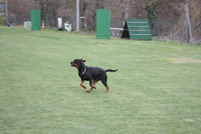 Herbstpruefung_2009