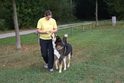 Schutterwald_2009