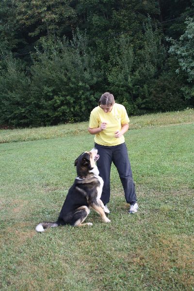 Schutterwald_2009