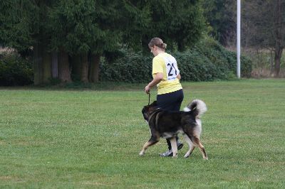 Schutterwald_2009