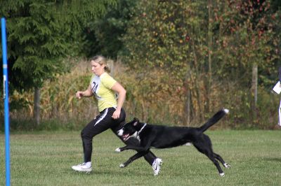 Schutterwald_2009