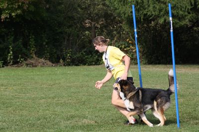 Schutterwald_2009