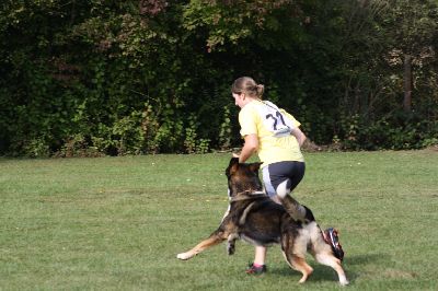 Schutterwald_2009