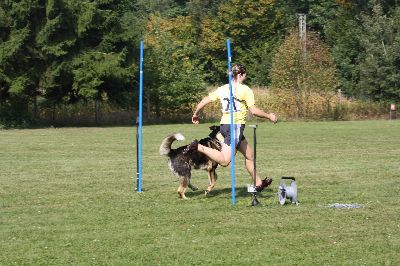 Schutterwald_2009