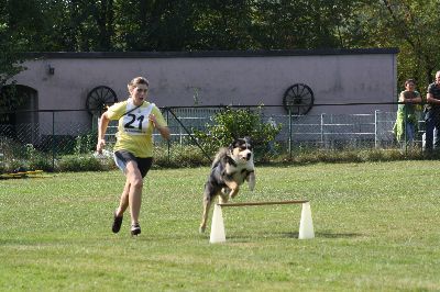 Schutterwald_2009