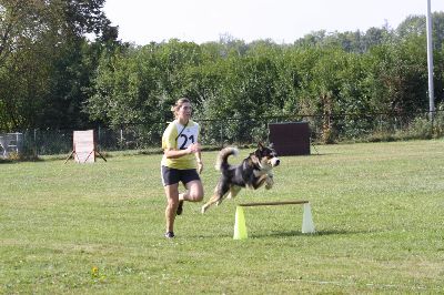 Schutterwald_2009