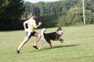 Schutterwald_2009