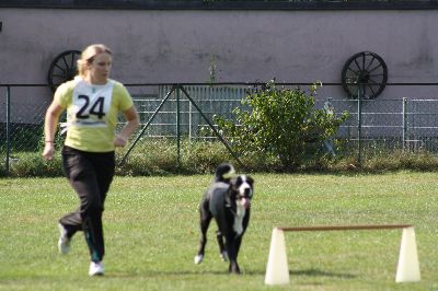 Schutterwald_2009