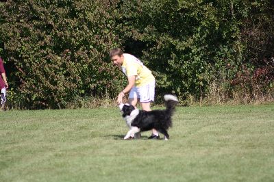 Schutterwald_2009