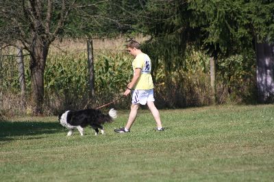 Schutterwald_2009