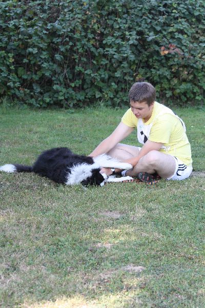 Schutterwald_2009