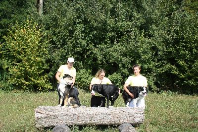 Schutterwald_2009