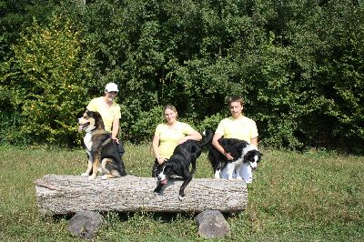 Schutterwald_2009