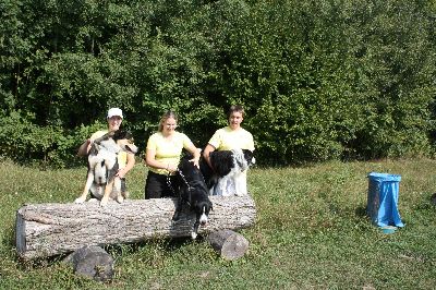 Schutterwald_2009