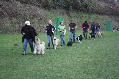 UebungsbetriebJustForFun_2009