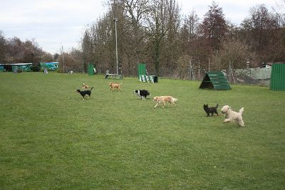 UebungsbetriebJustForFun_2009