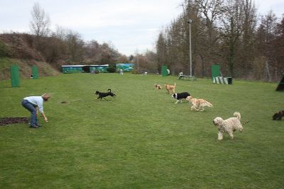UebungsbetriebJustForFun_2009