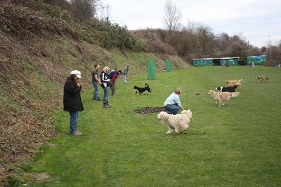 UebungsbetriebJustForFun_2009