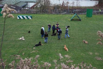 UebungsbetriebJustForFun_2009