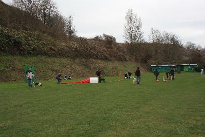 UebungsbetriebWelpenJunghunde_2009