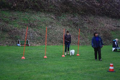 UebungsbetriebWelpenJunghunde_2009
