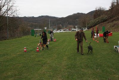 UebungsbetriebWelpenJunghunde_2009