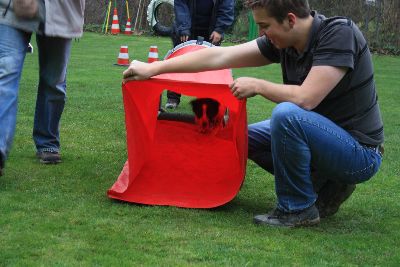 UebungsbetriebWelpenJunghunde_2009