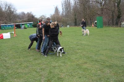 UebungsbetriebWelpenJunghunde_2009