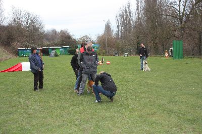 UebungsbetriebWelpenJunghunde_2009
