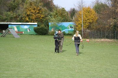 VPG_2009