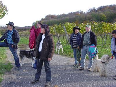 Vereinswanderung_2009